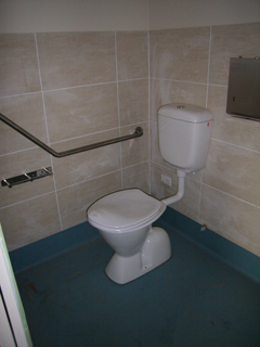 Bradley Australia grab rails in shower