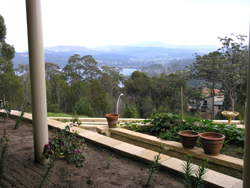 Back garden view